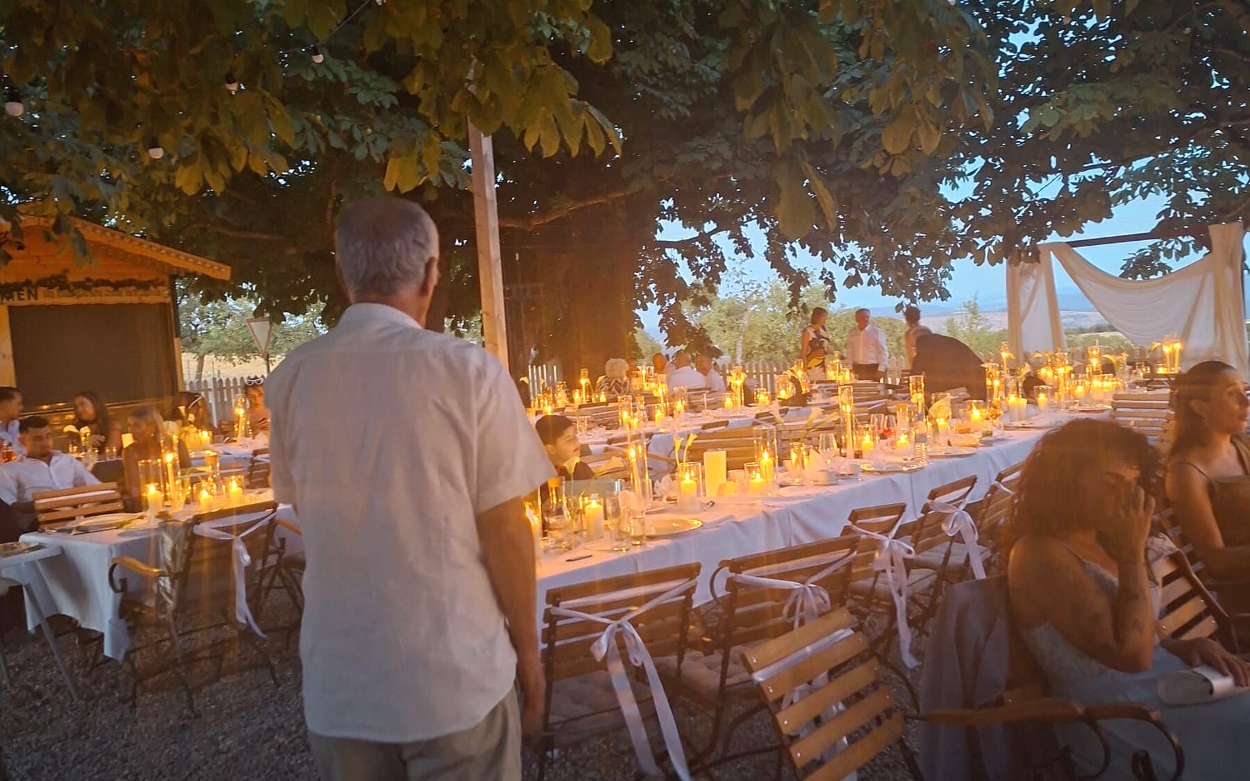 Sommerlich gedeckte Tafel unter Bäumen